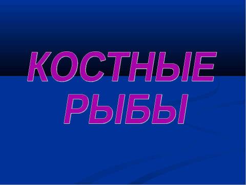 Презентация на тему "Рыбы" по окружающему миру