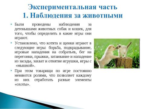 Презентация на тему "Подвижные игры. Во что бы поиграть?" по обществознанию