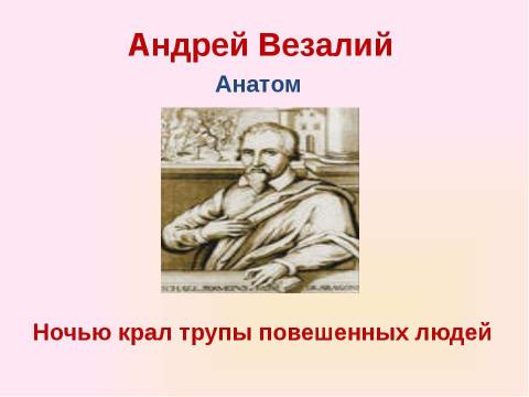 Презентация на тему "Скелет челоаека" по биологии