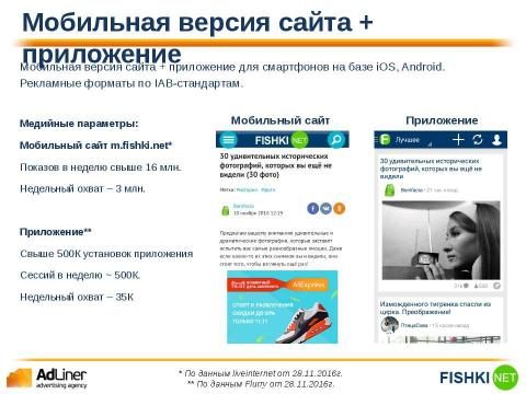 Презентация на тему "Adliner Fishki" по экономике