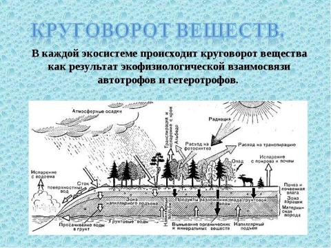 Презентация на тему "Круговорот веществ в биосфере" по географии