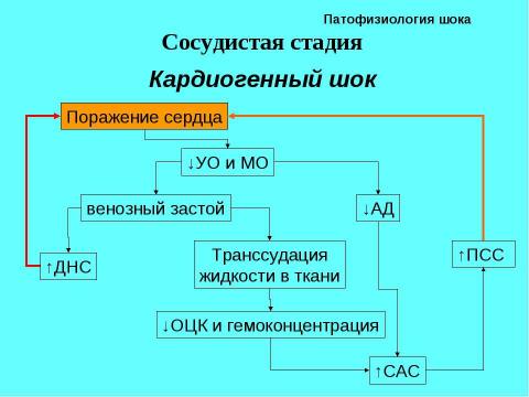 Презентация на тему "Шок в хирургии" по медицине