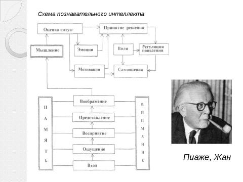 Презентация на тему "Воображение" по биологии