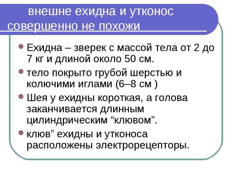 Презентация на тему "Яйцекладущие" по биологии