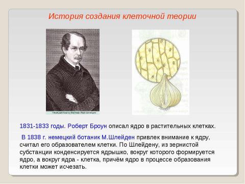 Презентация на тему "Клеточная теория 10 класс" по биологии