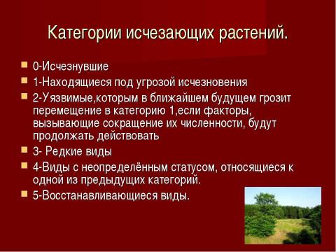 Презентация на тему "Исчезающие виды растений" по окружающему миру