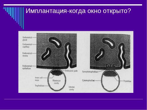 Презентация на тему "Эндокринология беременности" по медицине