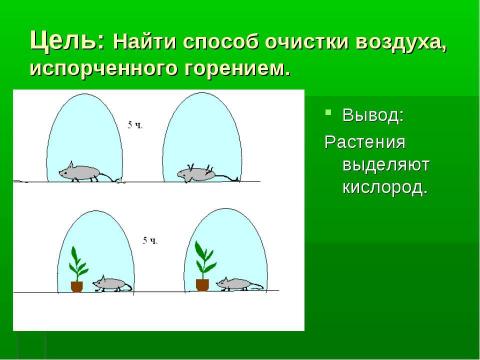 Презентация на тему "История открытия фотосинтеза" по биологии