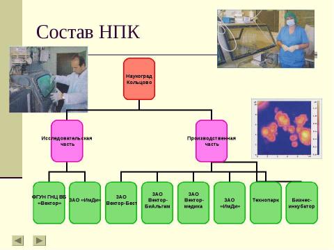 Презентация на тему "Наукоград «Кольцово»" по обществознанию