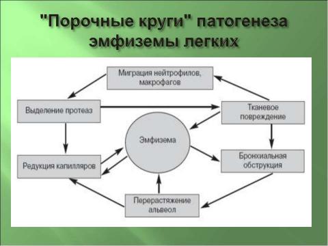 Презентация на тему "Эмфизема легких" по медицине