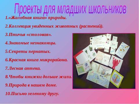 Презентация на тему "экологическая безопасность" по экологии