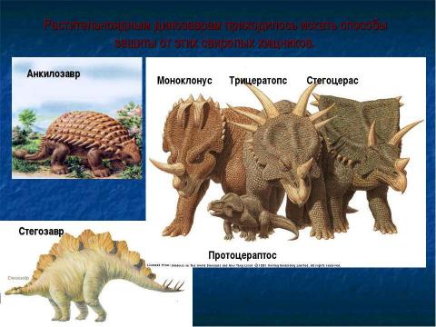 Презентация на тему "Древние пресмыкающиеся 7 класс" по биологии