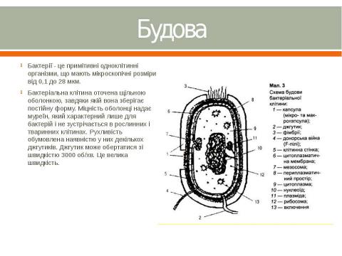 Презентация на тему "Как создавались рукописные книги в Древней Руси" по литературе