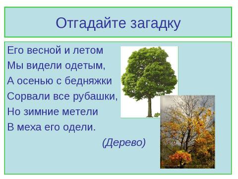 Презентация на тему "Рисование по представлению. Осенние деревья" по МХК