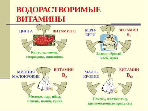 Презентация на тему "Обмен веществ" по биологии