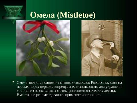 Презентация на тему "Что такое Рождество?" по обществознанию