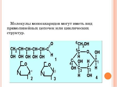 Презентация на тему "Углеводы, липиды" по биологии