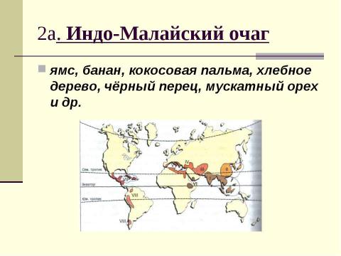 Презентация на тему "Центры происхождения культурных растений" по биологии