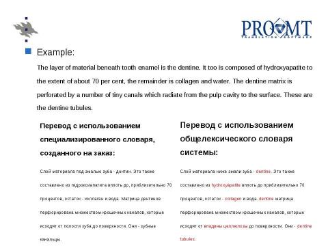 Презентация на тему "Использование машинного перевода в системах поиска русскоязычной информации" по английскому языку