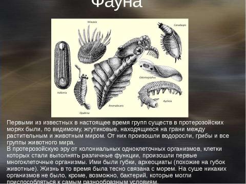 Презентация на тему "Архей и протерозой. Возникновение жизни на Земле" по географии