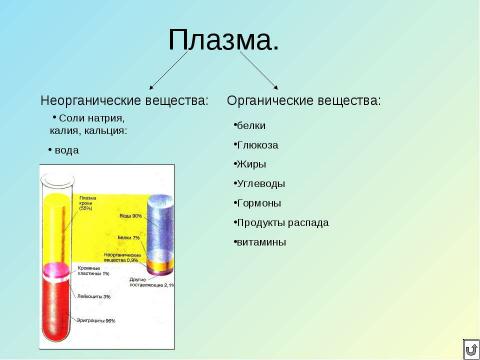 Презентация на тему "Кровь" по биологии