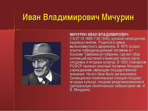 Презентация на тему "Ученые селекционеры" по биологии