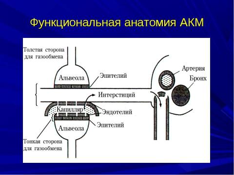 Презентация на тему "ОТЕК ЛЕГКИХ" по биологии