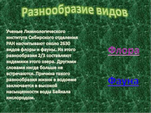 Презентация на тему "О.Байкал Перспектива для экологического туризма Восточной Сибири" по экологии