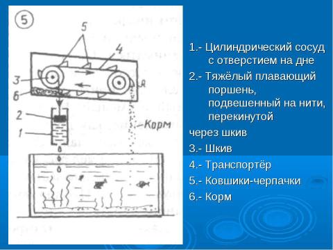 Презентация на тему "Автоматическая кормушка для аквариумных рыбок" по биологии