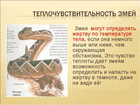 Презентация на тему "Змеи 3 класс" по окружающему миру