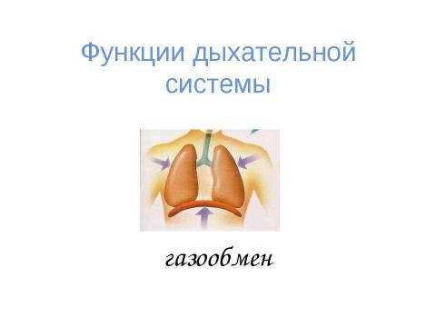 Презентация на тему "вода" по физике