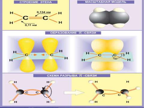 Презентация на тему "Непредельные углеводороды. Алкены" по химии