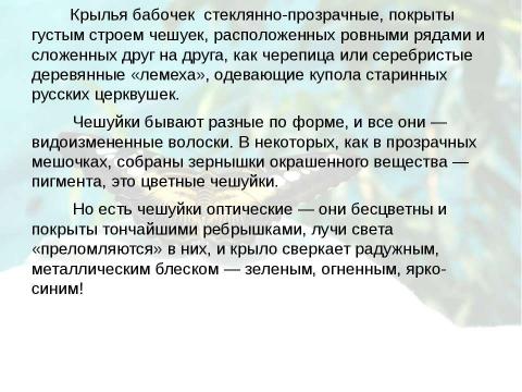 Презентация на тему "Бабочки 7 класс" по биологии