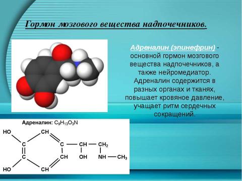 Презентация на тему "Гормоны" по химии