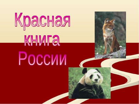 Презентация на тему "Красная книга России" по окружающему миру