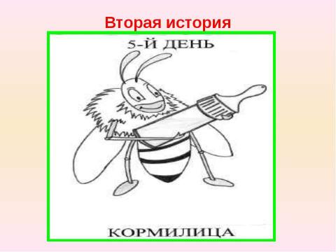 Презентация на тему "Письменное деление многозначного числа на однозначное" по начальной школе