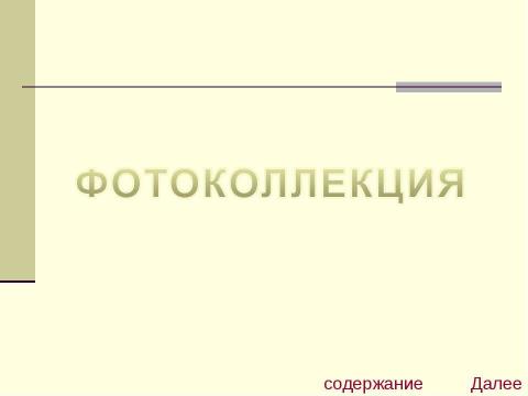 Презентация на тему "Хаски" по биологии