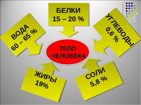 Презентация на тему "Пищевые продукты, питательные вещества и их превращения в организме" по биологии