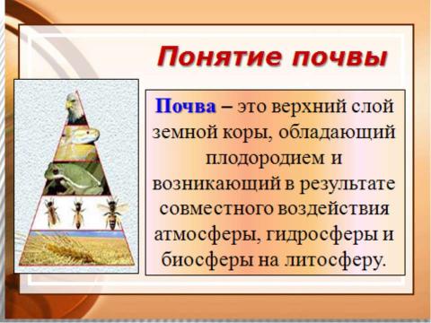 Презентация на тему "Почва 6 класс" по окружающему миру