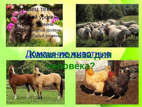 Презентация на тему "Какие бывают животные" по окружающему миру