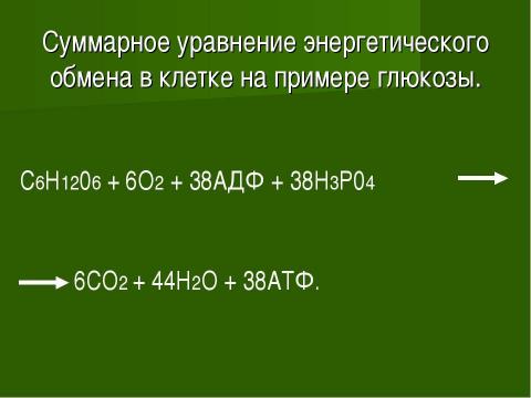 Презентация на тему "Основы цитологии. Энергетический обмен в клетке" по биологии