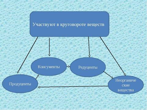 Презентация на тему "Круговорот веществ в биосфере" по географии