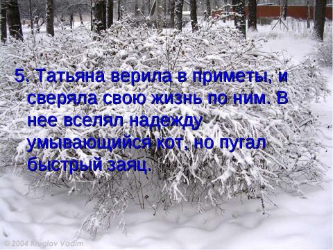 Презентация на тему "Природа восприятии автора, Татьяны Лариной (любимой героини Пушкина в романе)" по литературе