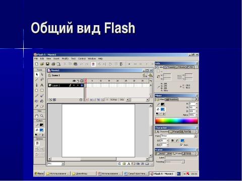 Презентация на тему "Использование Flash технологии в преподавании информатики" по информатике