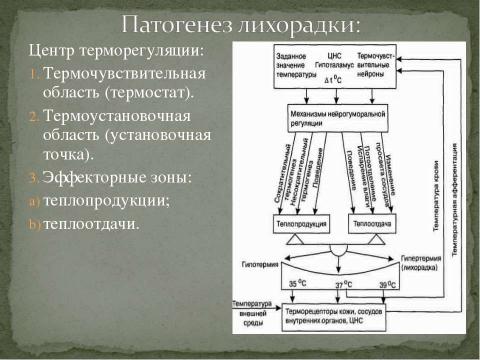 Презентация на тему "Дифференциальная диагностика заболеваний, протекающих с лихорадкой" по медицине