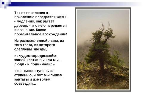 Презентация на тему "Какова роль памяти в сохранении преемственности поколений и духовного наследия человечества ?" по истории