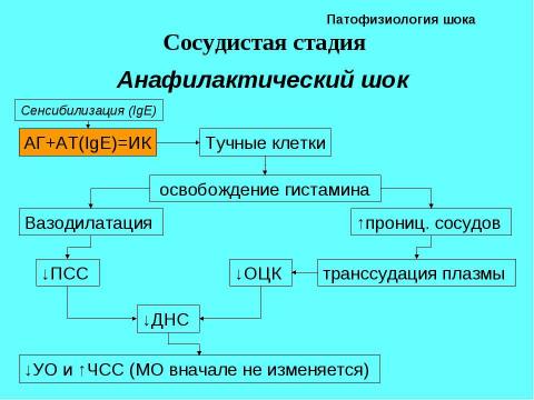 Презентация на тему "Шок в хирургии" по медицине