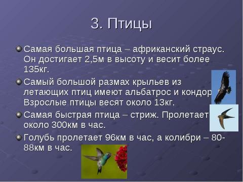 Презентация на тему "В мире природы" по окружающему миру