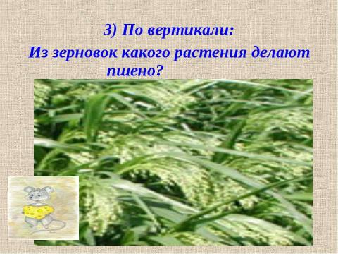 Презентация на тему "Путешествие в страну сказки «Злаки»" по начальной школе