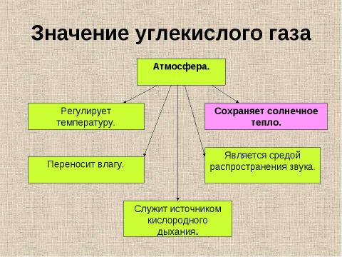 Презентация на тему "Потепление климата и наше здоровье" по географии